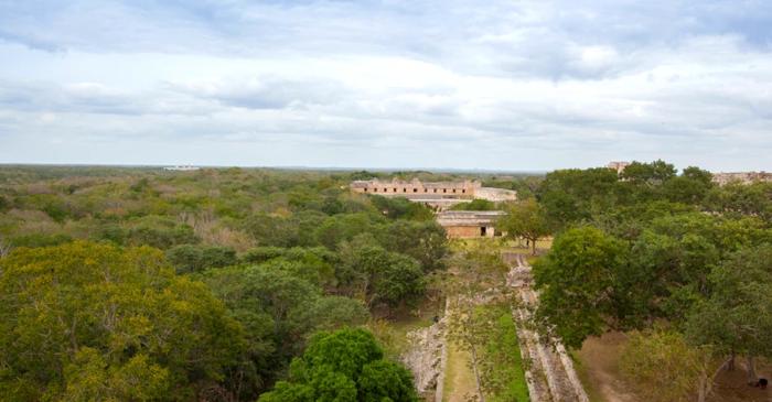 Un oraș mayaș pierdut a fost redescoperit în jungla mexicană