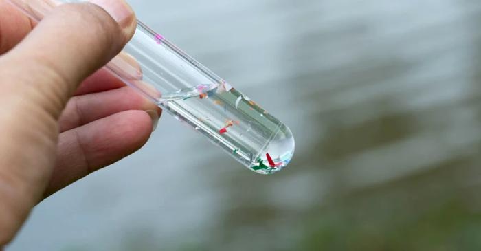 Microplastice, găsite în țesuturile cardiace umane, atât înainte, cât și după intervențiile chirurgicale