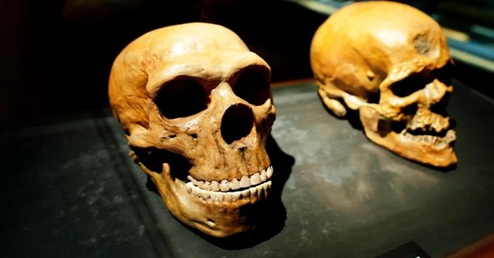 Un craniu antic descoperit în China nu seamănă cu niciun om cunoscut până acum