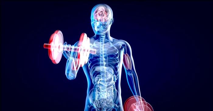 Iată medicamentul care păcălește organismul să creadă că face sport!