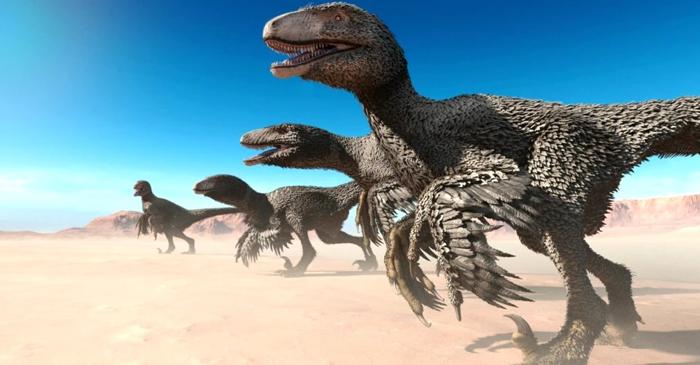 Penele de dinozaur fosilizate dezvăluie proteine conservate de milioane de ani