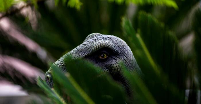 Un nou dinozaur cât o găină, descoperit pe „insula dinozaurilor” din Marea Britanie