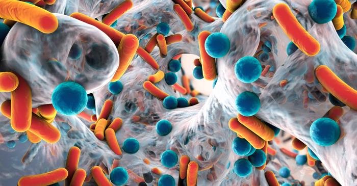 Bacteriile au „amintiri” pe care le pot transmite generațiilor următoare