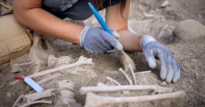 Descoperirea care poate rescrie istoria. Ce au găsit arheologii în America Latină