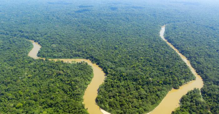 Proiectul Amazonia Revelată dezvăluie o așezare colonială pierdută din secolul al XVIII-lea