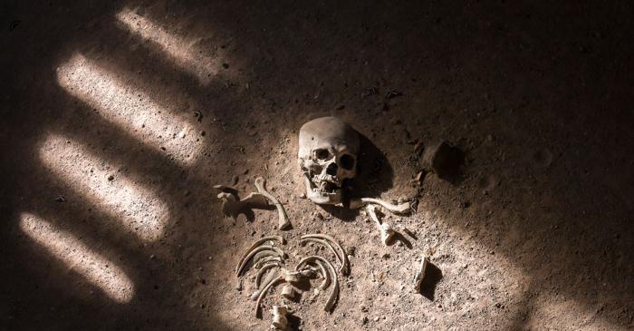 Cercetătorii confirmă saga norvegiană prin analiza ADN-ului unui cadavru medieval