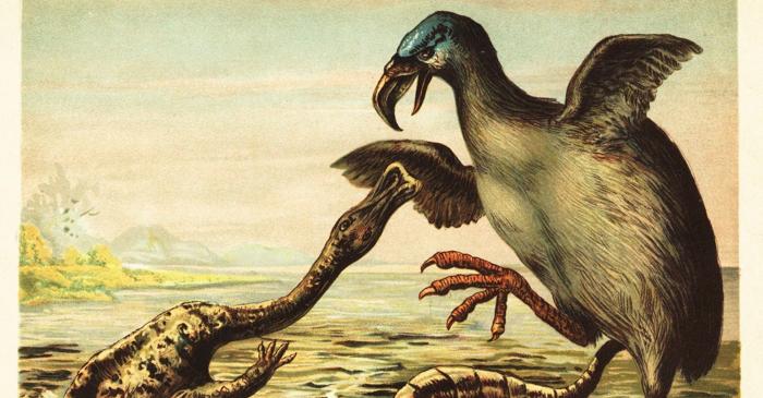 Fosilă gigantică a unei „păsări a terorii" descoperită în Columbia