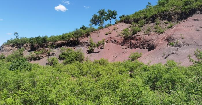 Fosilele din Yixian dezvăluie secretele conservării naturale