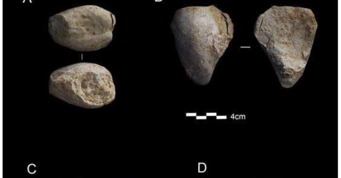 Neanderthalienii din nordul Spaniei colecționau fosile marine acum 54.000 de ani