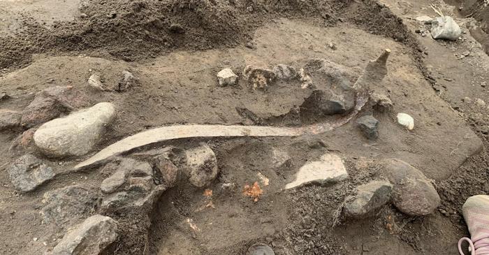 Arheologii danezi au descoperit un arsenal antic de 119 arme sub casa unui lider tribal