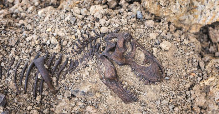 Ce dinozaur misterios a cutreierat China acum 193 de milioane de ani?