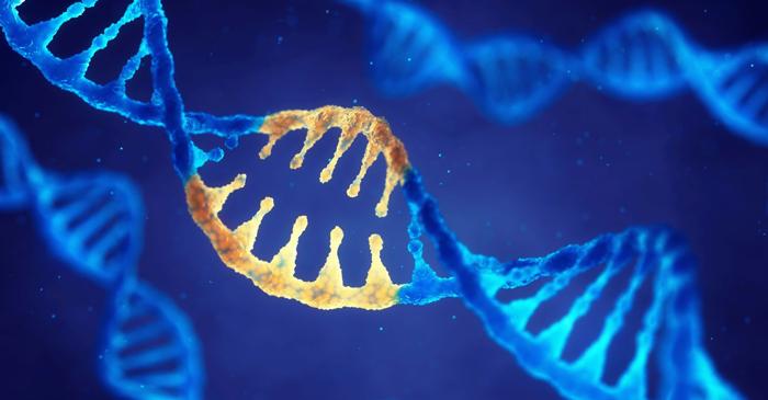 Cercetătorii italieni au dezvăluit noi repere în evoluția genomului uman modern