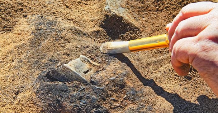 O tăbliță misterioasă din Georgia dezvăluie un sistem de scriere antic necunoscut