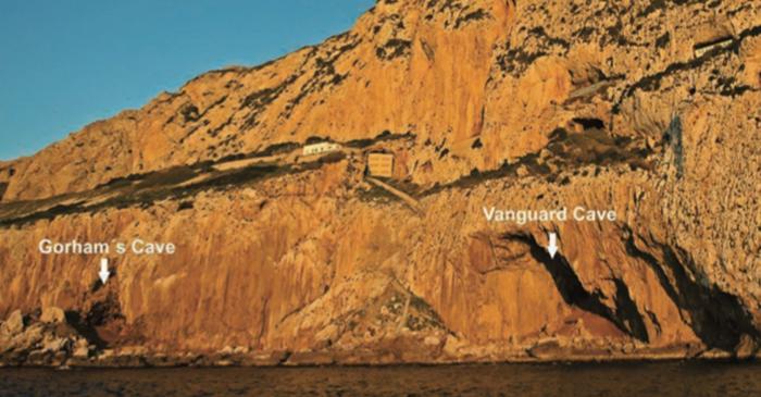 Oamenii de Neanderthal fabricau rășină în mod avansat, arată descoperirile din Gibraltar