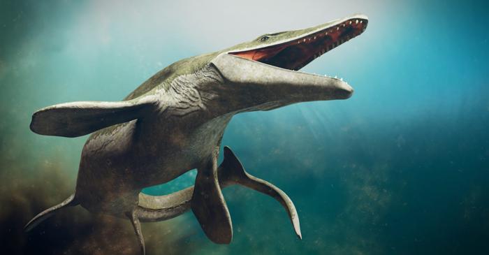 Cercetători canadieni contestă autenticitatea unei fosile de mosasaur din Maroc
