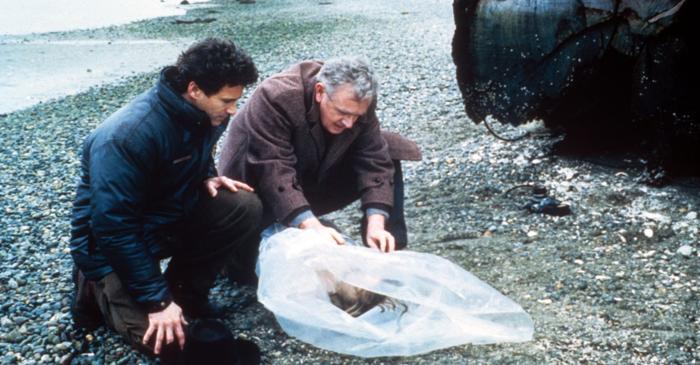 „Twin Peaks", serialul care a schimbat televiziunea americană în anii '90