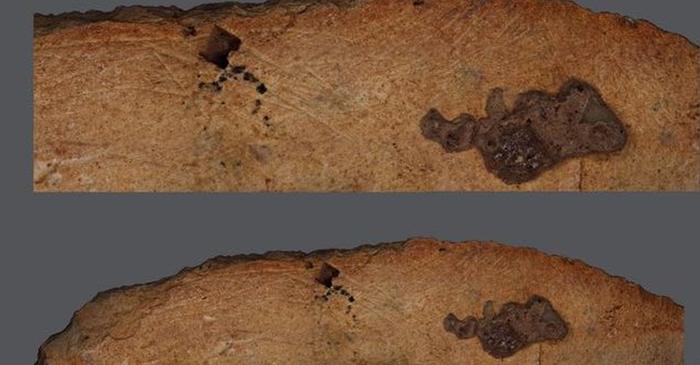 Arheologii au descoperit dovezi ale artei geometrice în artefacte din Paleoliticul mijlociu