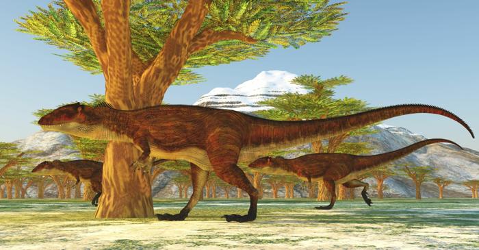 Cum au schimbat megaraptorii australieni ierarhia dinozaurilor din Cretacic?