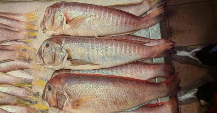 O nouă specie de pește din adâncuri a fost descoperită pe o platformă online de comerț