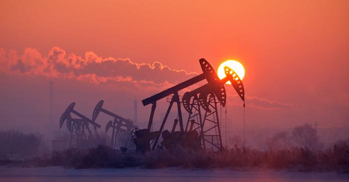 Trump oprește dezvoltarea parcurilor eoliene în numele protejării faunei marine