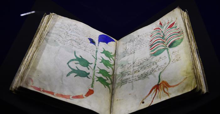Ce secrete ascunde manuscrisul Voynich, nedescifrat de peste un secol?