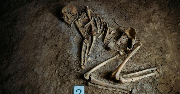Un os de șold al unui hominin antic dezvăluie noi detalii despre mersul biped al strămoșilor