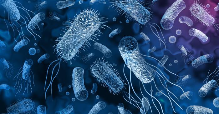 Bacterii marine au produs hidrogen în cantități record pentru energia viitorului