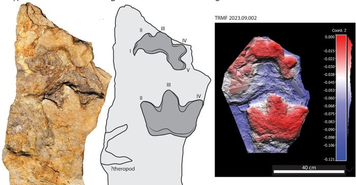 Ce secret ascund urmele de dinozaur cu trei degete din Canada?
