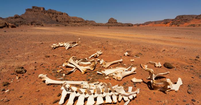 Ce secrete ascunde ADN-ul mumiilor din Sahara „Verde"?