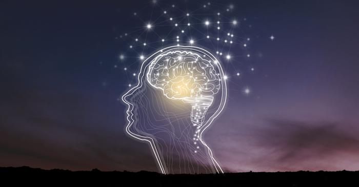 Boala Alzheimer: Cum ajută țesutul cerebral viu la găsirea unui leac?