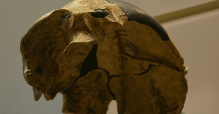 Ce secrete ascunde craniul vechi de 300.000 de ani din China?