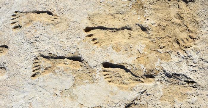 Amprentele din White Sands: Cine erau oamenii dinaintea culturii Clovis?