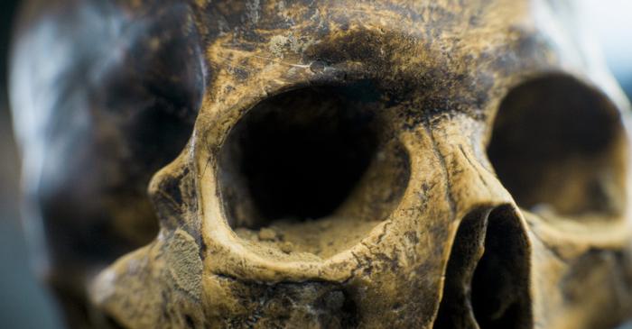 Arheologii au descoperit craniul deformat al unei tinere din Iran, vechi de 6.200 de ani