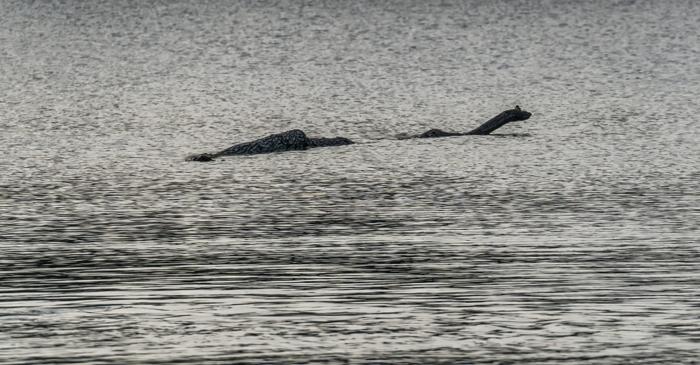 Cât de mult a influențat turismul legenda monstrului din Loch Ness?