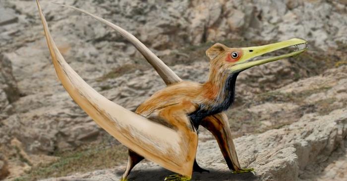 Paleontologii au descoperit primul pterozaur din Japonia, cu o anatomie unică în lume