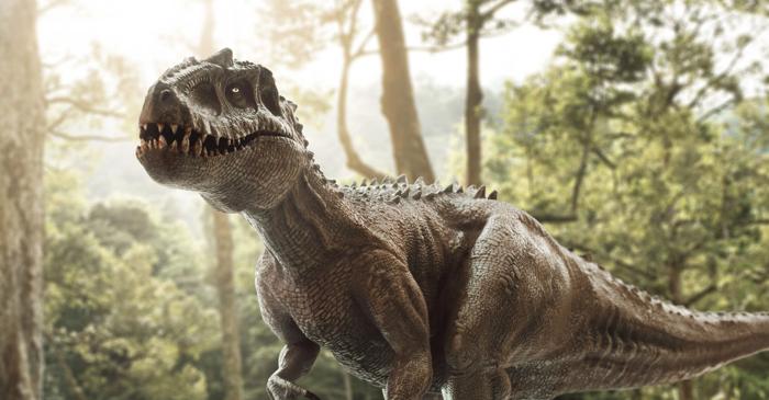 Paleontologii încă nu pot determina sexul dinozaurilor cu exactitate
