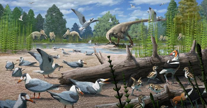 Păsările cuibăreau în Arctica acum 73 de milioane de ani, alături de dinozauri