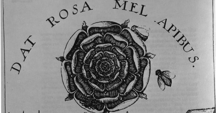 Rozicrucienii: poate secretul lor antic să ne schimbe viața?