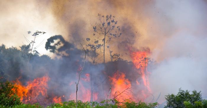 Amazonul este lovit de cea mai gravă criză de incendii și secetă din ultimele două decenii