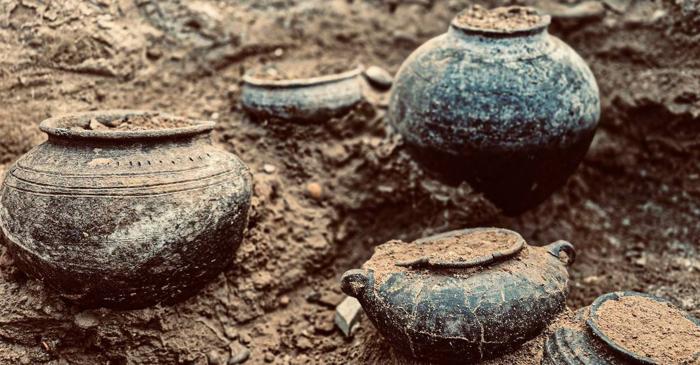 Ce artefact unic a fost găsit într-un mormânt de războinic vechi de 3.800 de ani?