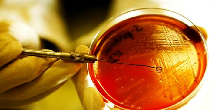 Cercetătorii de la MIT dezvoltă antibiotice create cu inteligență artificială împotriva bacteriilor rezistente
