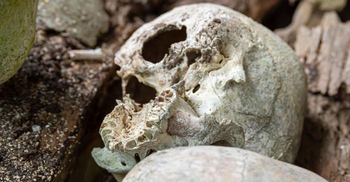 Un schelet de copil vechi de 140.000 de ani dezvăluie cea mai timpurie încrucișare dintre neanderthalieni și Homo sapiens