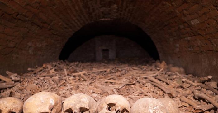 De ce o specie cu creier mic ar putea rescrie istoria ritualurilor funerare?
