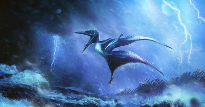 Două fosile de pui de pterozaur cu aripi rupte dezvăluie cum au murit acum 150 de milioane de ani