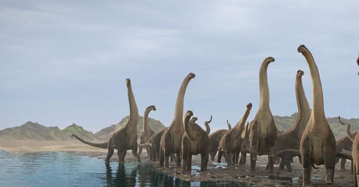 O boală osoasă a creat un focar de infecție letal pentru dinozaurii din Brazilia