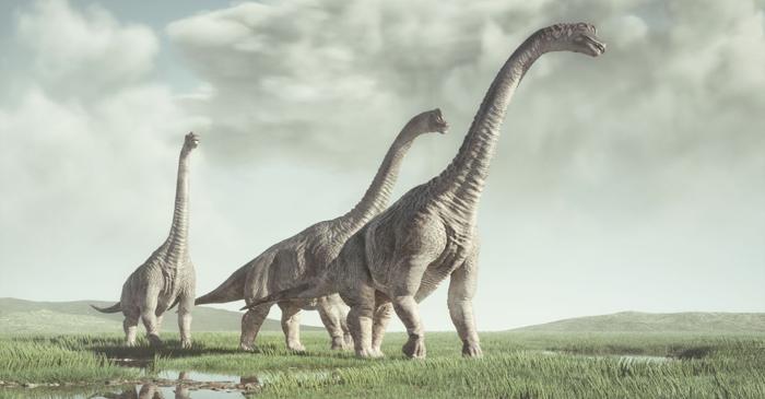 Un inamic microscopic a doborât dinozaurii giganți din Brazilia