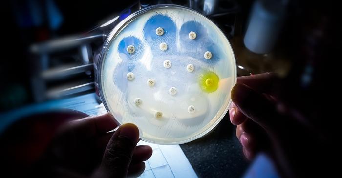 Decesele cauzate de bacteriile rezistente la antibiotice au crescut cu 17% în Marea Britanie
