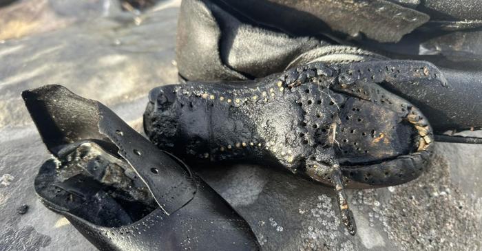 Sute de pantofi din secolul al XIX-lea au apărut pe plajele din Țara Galilor