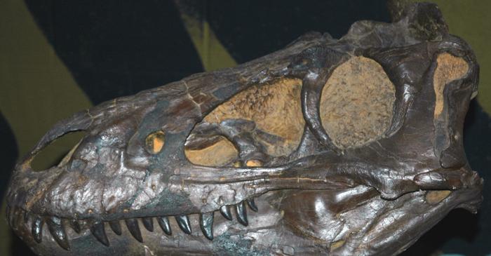 Tyrannosaurus rex era un înotător excelent