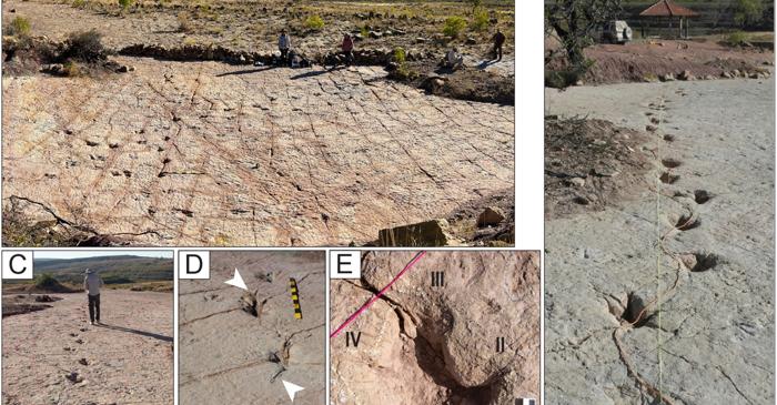 Un sit din Bolivia devine cea mai mare descoperire de urme de dinozauri din lume cu peste 16.000 de fosile